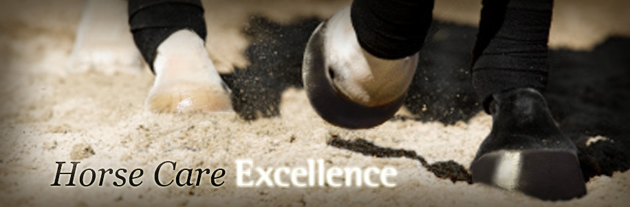Excellence ™ Products for Horses