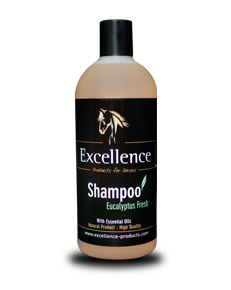 Shampoo Eucalyptus Fresh - 99% Natural